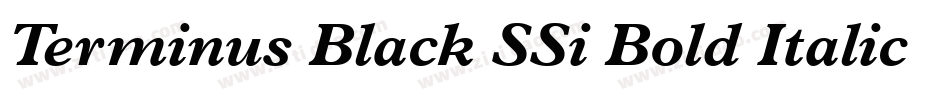 Terminus Black SSi Bold Italic字体转换